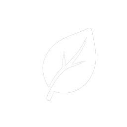 Circle Image